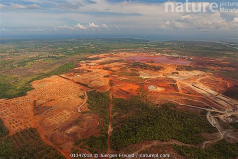 nickel mining in palawan